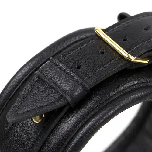 Ce collier noir est réalisé en faux cuir avec un confort parfait pour allier l'utile et l'agréable. Il est rembourré à l'intérieur
