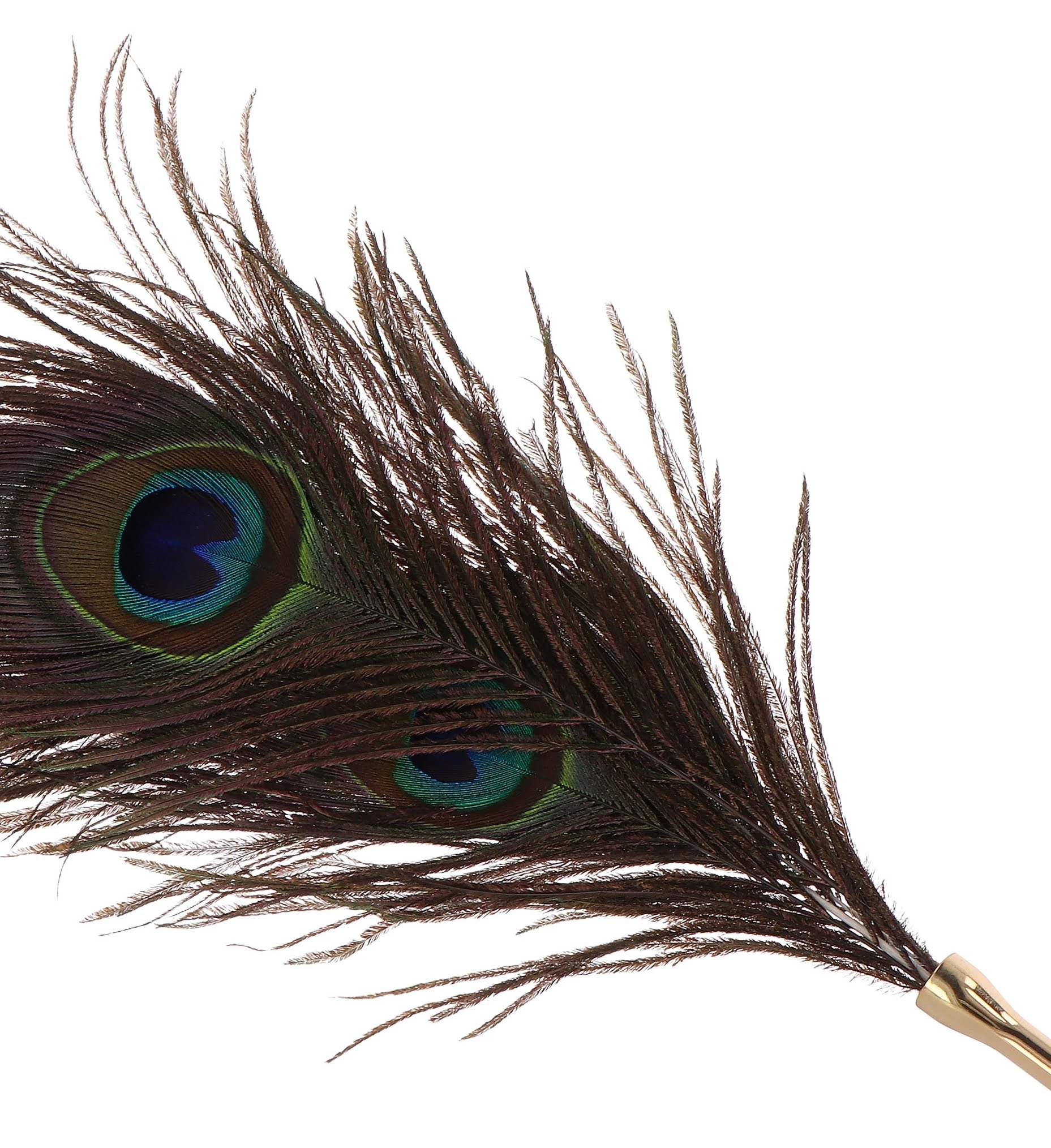 Tickle Peacock conçu avec une belle plume de paon. Elle vient caresser la peau délicatement