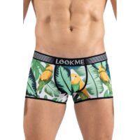 Boxer imprimé exotique avec Oiseau chanteur