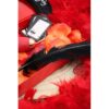 Coffret coquin St Valentin